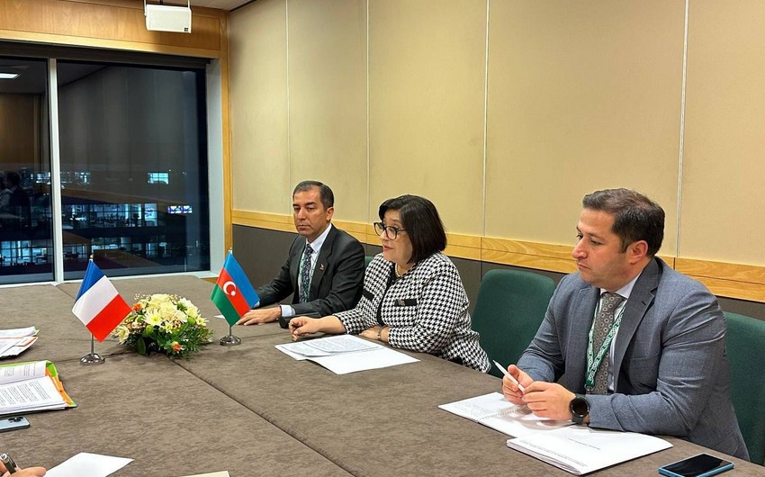Sahiba Gafarova meets with President of French National Assembly
