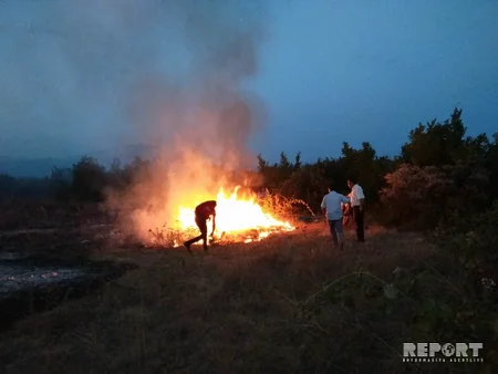 Şəkidə Meşə Təsərrüfatı Fonduna məxsus ərazidə güclü yanğın olub - FOTO - VİDEO