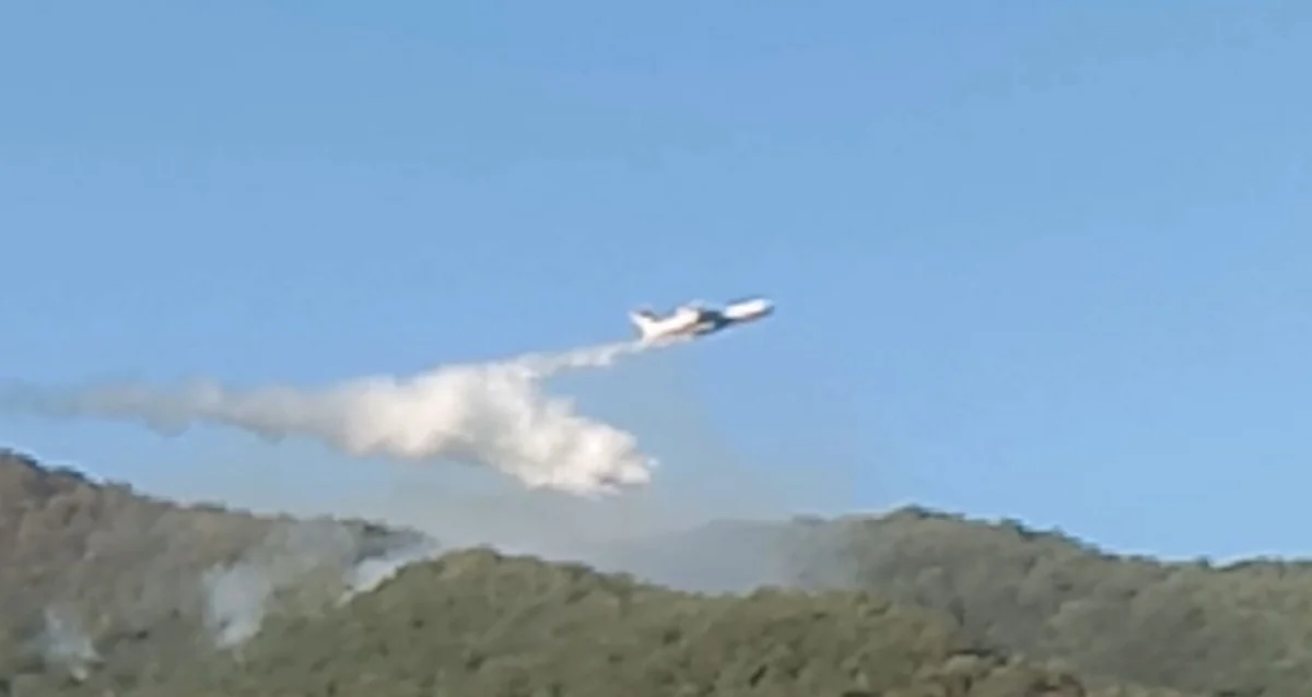 FHN: Meşə yanğınlarının söndürülməsinə 1140 nəfərdən çox canlı qüvvə və 120 texnika cəlb olunub