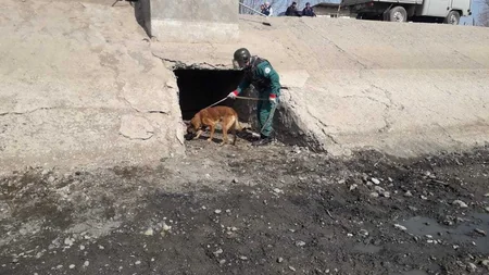 Qazaxda top mərmisi və raket tapıldı