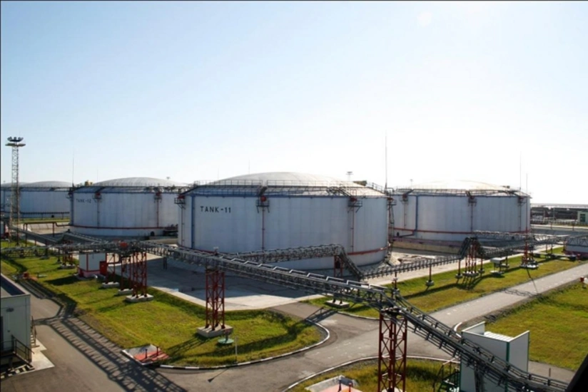 Volume of transported goods from Kulevi terminal unveiled