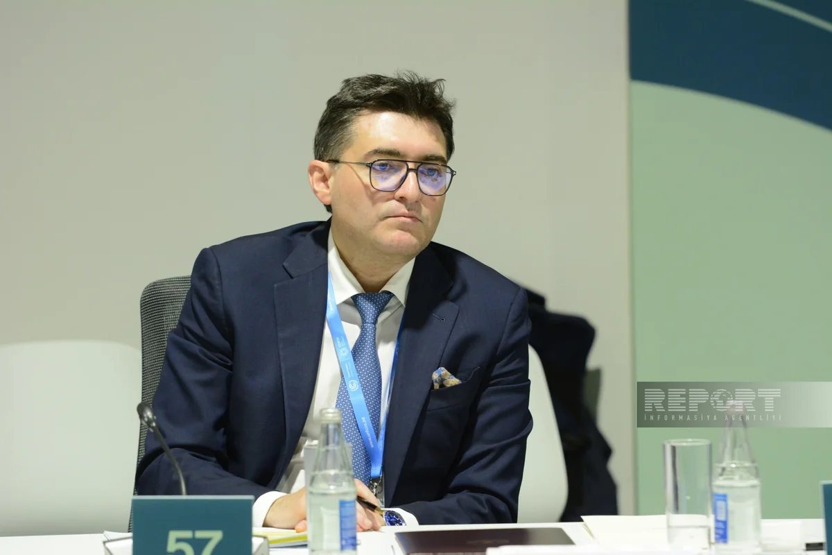 Nazir müavini: “Azərbaycan yaşıl enerji zonalarının yaradılması üzrə pilot layihələrə başlayıb