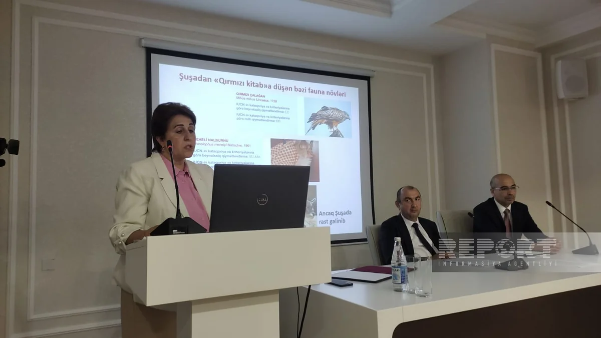 Irada Huseynova: Flora and fauna of Topkhana forest being re-examined