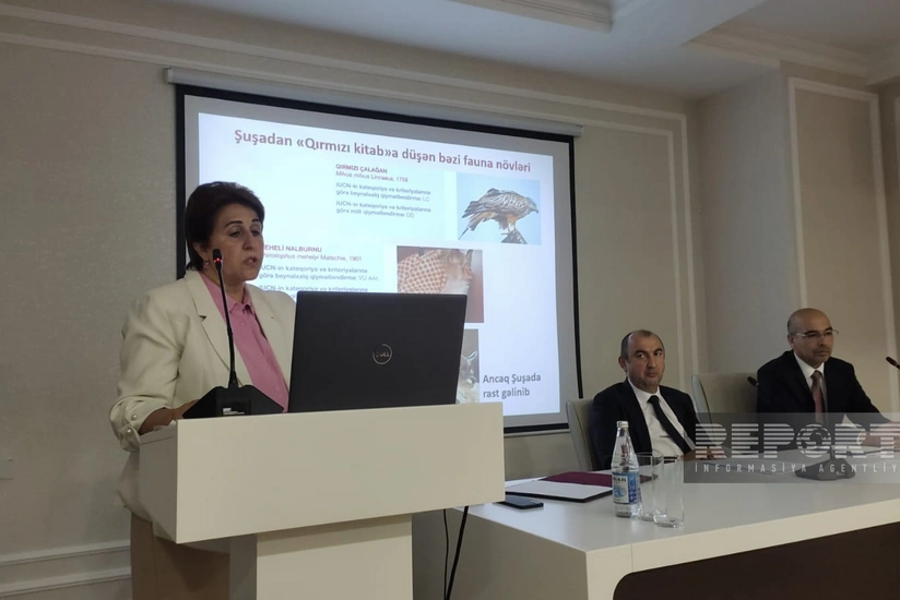 Irada Huseynova: Flora and fauna of Topkhana forest being re-examined