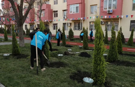 Leyla Əliyeva Bakıda abadlaşdırılan daha bir həyətin açılışını edib, ağac əkib