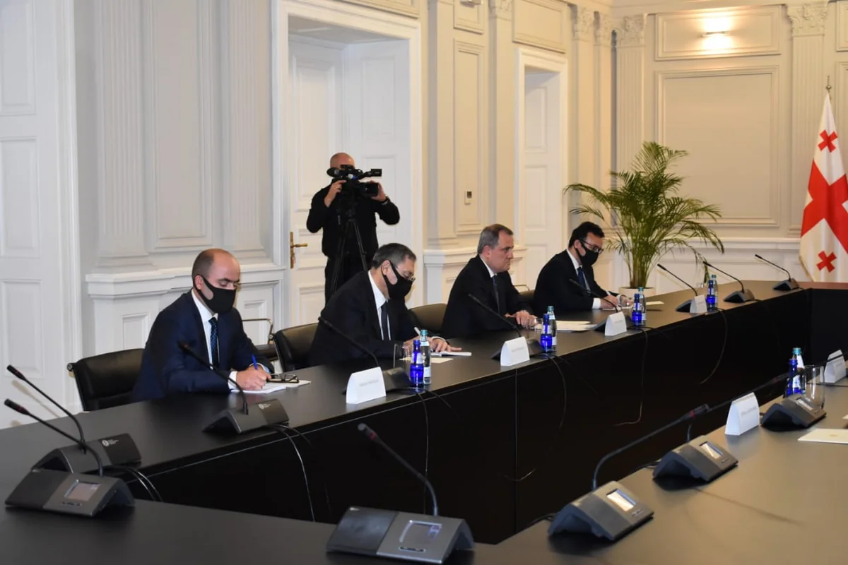 Gürcüstan prezidenti Azərbaycanın XİN başçısını qəbul edib