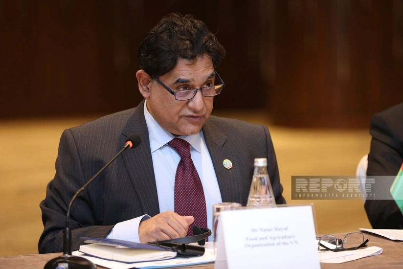 FAO keen on commencing new projects in Azerbaijan