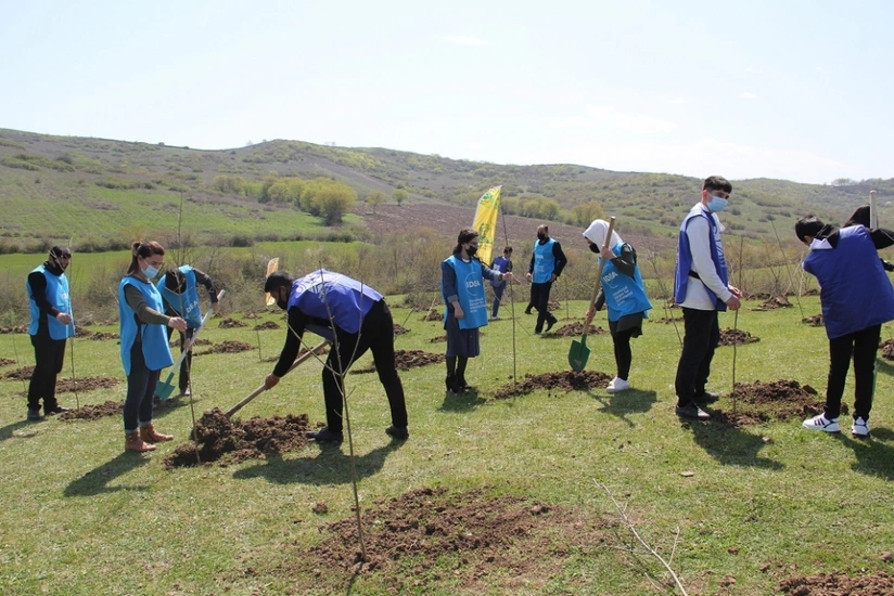 ETSN: Meşə fondunun açıq sahələrində rekord sayda ağac əkilib