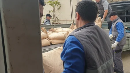 Bəzi müəssisələrdə təhlükəli kimyəvi maddələr utilizasiya edilib