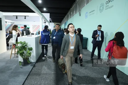 На COP29 представлены павильоны разных стран