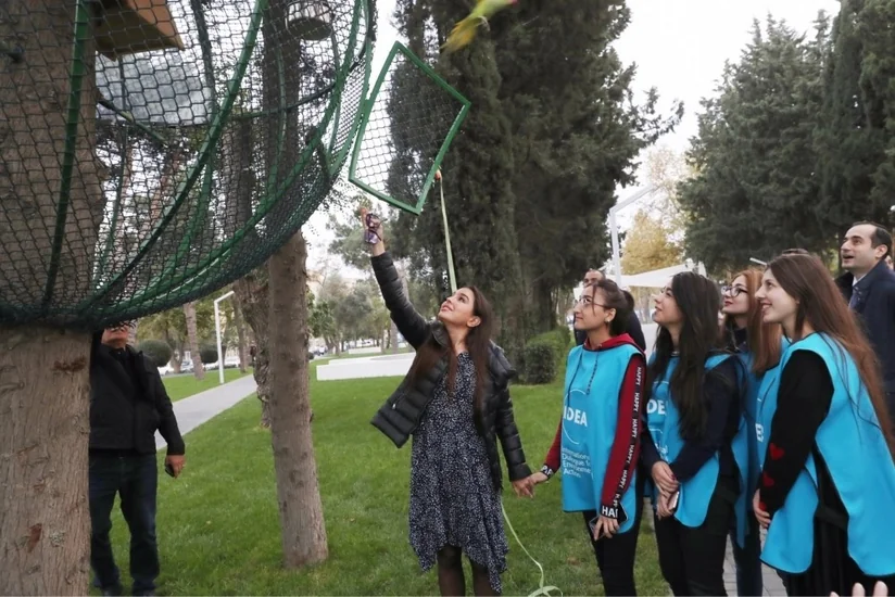 IDEA İctimai Birliyi tərəfindən Bakıda tutuquşular məskunlaşdırılır - FOTO