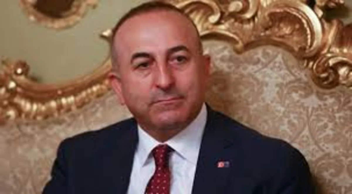 Чавушоглу: МИД Турции продолжит борьбу против признания геноцида армян