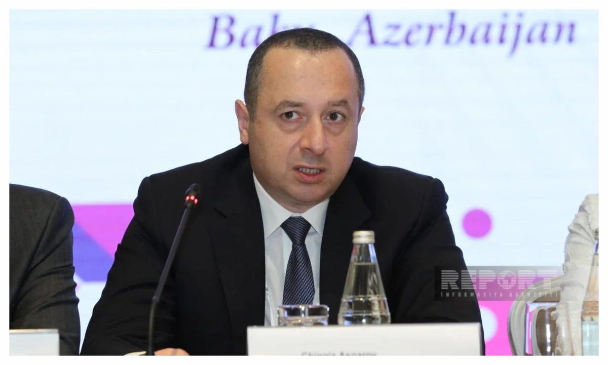 Azərbaycanın Avropa Məhkəməsindəki nümayəndəsi: “Ermənistanın acizliyi artıq hüquqi müstəviyə keçib”