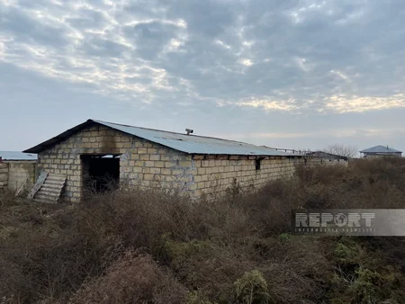 Kürdəmirdə tövlədə yanğın baş verib, 39 baş iri buynuzlu heyvan tələf olub