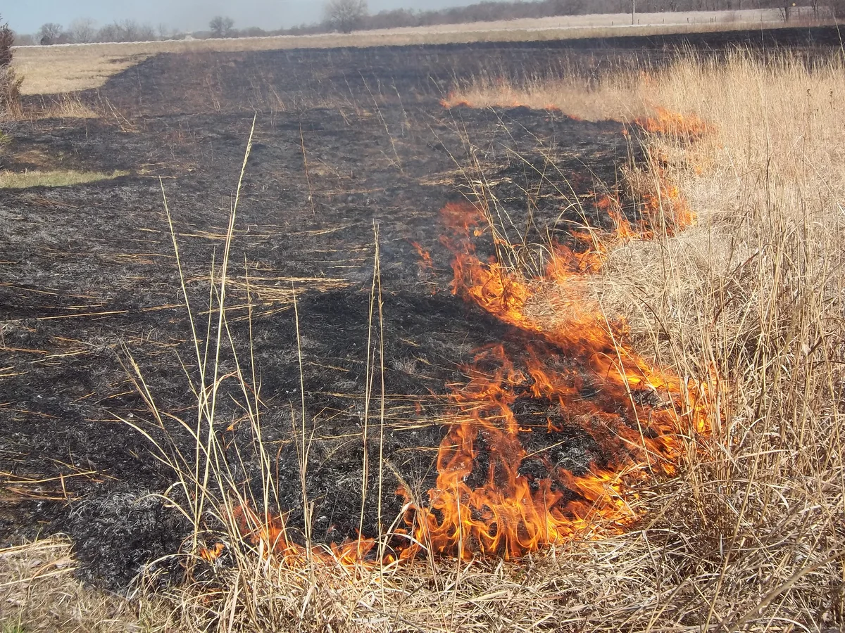 В Агсуинском районе начался пожар