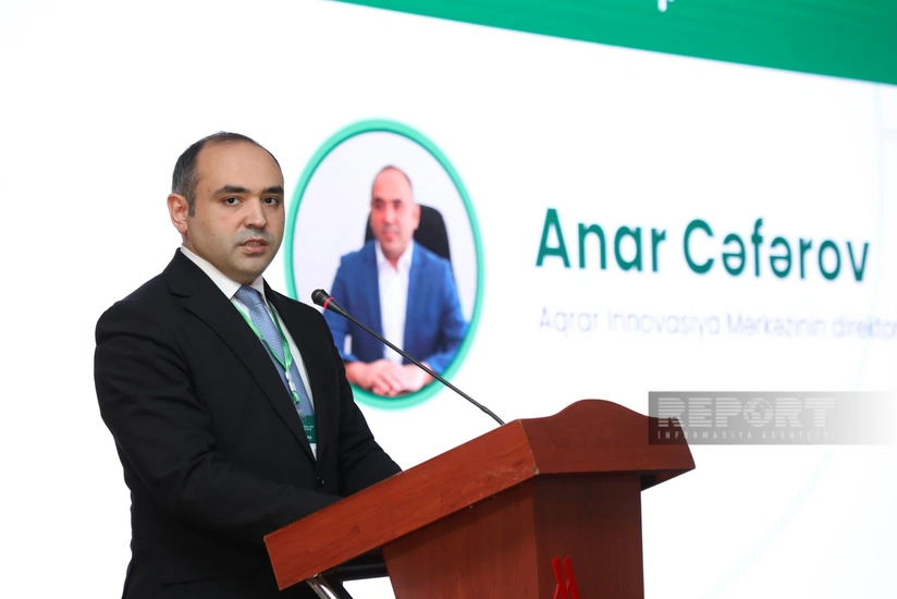 Azərbaycanda kredit yarmarkaları təşkil ediləcək