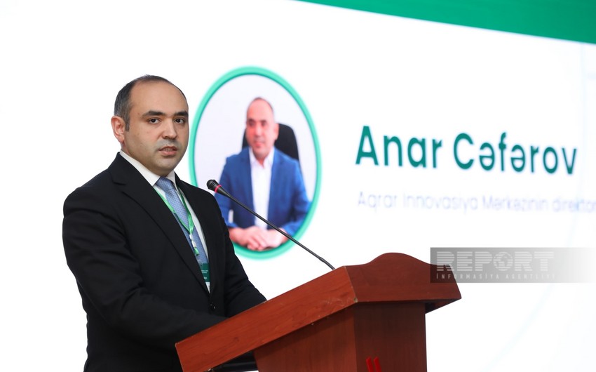 Azərbaycanda kredit yarmarkaları təşkil ediləcək