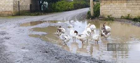 Xaçmazın unudulan kəndləri: sakinlərin çəkdiyi yolu yağış yuyub apardı - REPORTAJ