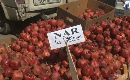 Sumqayıtda kənd təsərrüfatı məhsullarının satış yarmarkası təşkil olunub