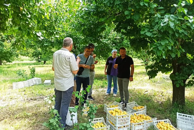 Azərbaycan və Türkiyənin Elmi-tədqiqat institutları birgə layihə həyata keçirirlər