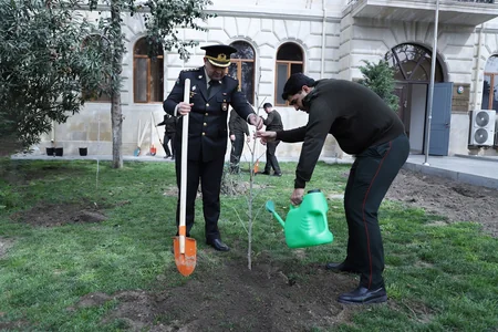 Dövlət Xidməti növbəti dəfə ağacəkmə aksiyası keçirdi