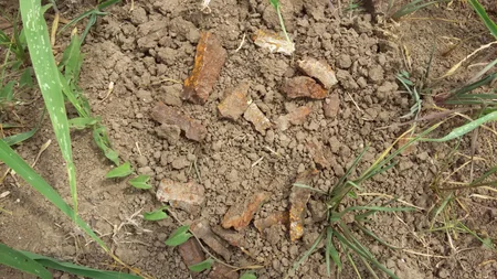 Ağdam və Tərtərdə partlamış hərbi sursatların qalıqları aşkar edilib