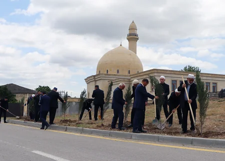 Dini komitə ibadət yerlərində ağacəkmə aksiyası keçirib