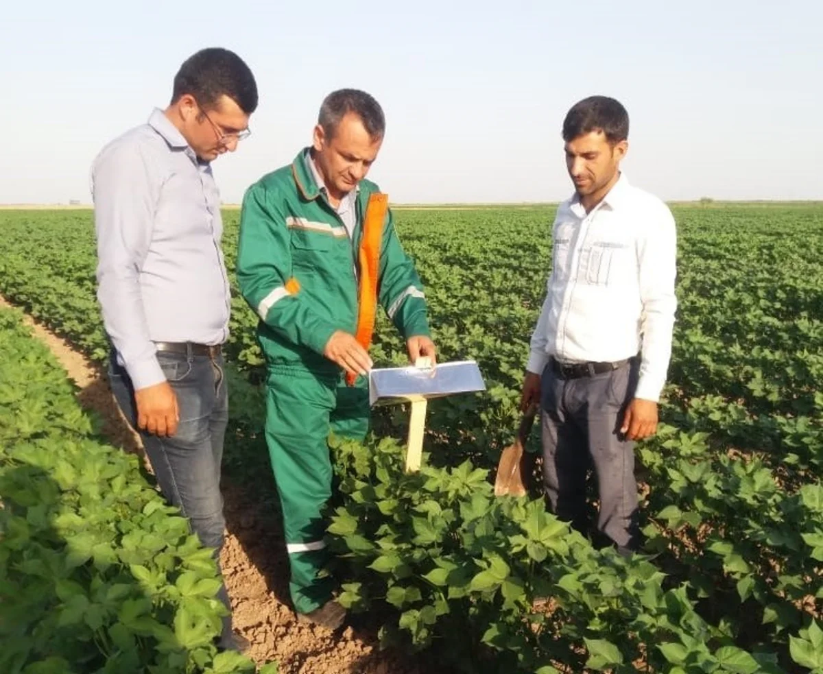 Pambıq sovkasına qarşı bioloji mübarizə tədbirlərinə başlanılıb