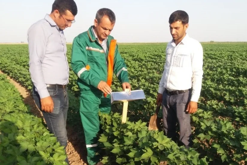 Pambıq sovkasına qarşı bioloji mübarizə tədbirlərinə başlanılıb