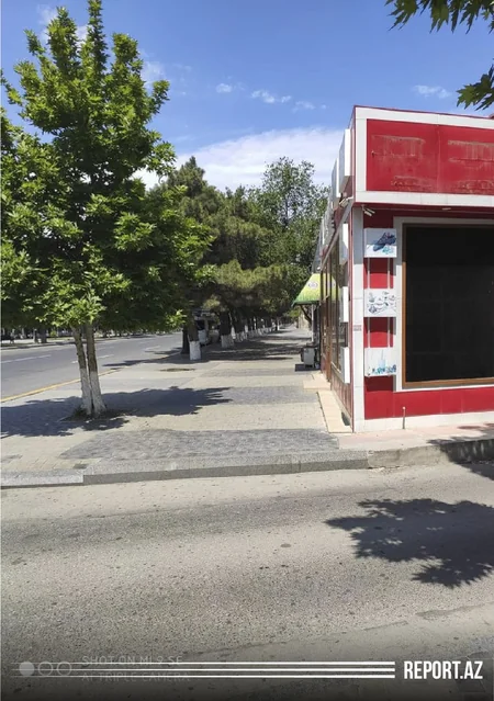 Sumqayıtın boş küçə və yolları - FOTOREPORTAJ - VİDEO