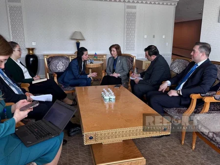 Bahar Muradova ABŞ-də macarıstanlı həmkarı ilə görüşüb