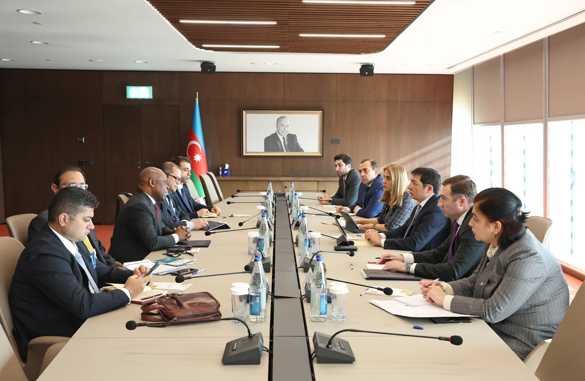 Azerbaijan discusses development of relations with D-8