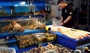 Китай согласился начать процедуры возобновления импорта морепродуктов из Японии