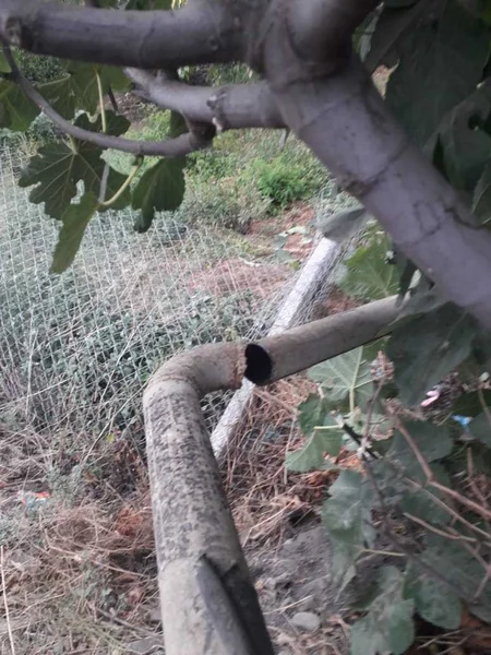 Qazaxda 4 avtomobilin toqquşması nəticəsində qaz xətti yararsız hala düşüb