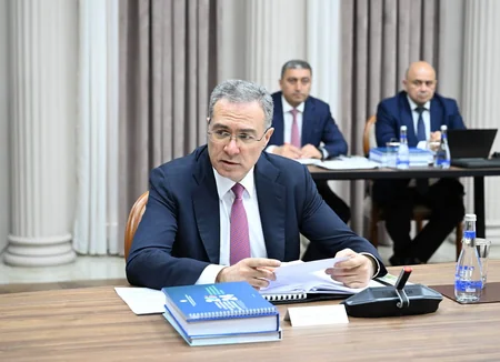 İqtisadi Şuranın növbəti iclasında aqrar sığorta sisteminin inkişafı ilə bağlı Fəaliyyət Planı müzakirə edilib