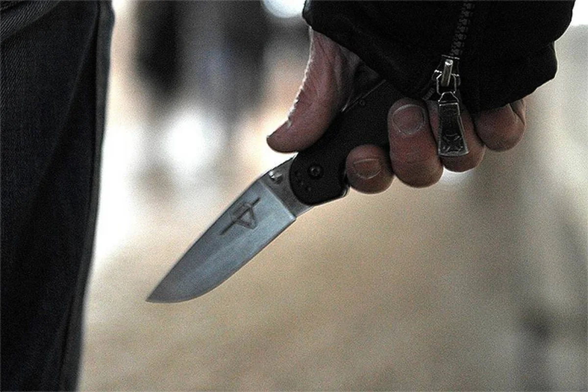 СК РФ возбудил дело в отношении иностранца, напавшего на полицейских в Москве