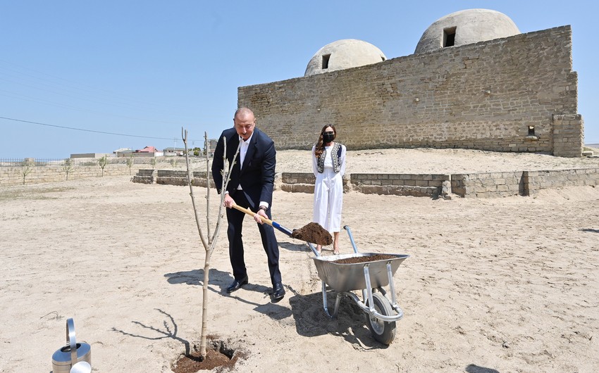 Prezident və xanımı Pirşağıda ağac əkiblər