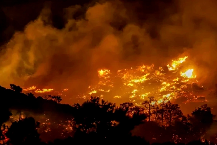 На Крите эвакуировали около 5 тыс. человек из-за лесных пожаров