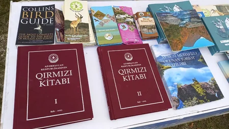 Flamingo Festival celebrates biodiversity in Azerbaijan's Gyzylagach National Park