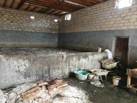 AQTA Gəncədə heyvanların daxili orqanları və dərisini antisanitar şəraitdə emal edən sex aşkarlayıb