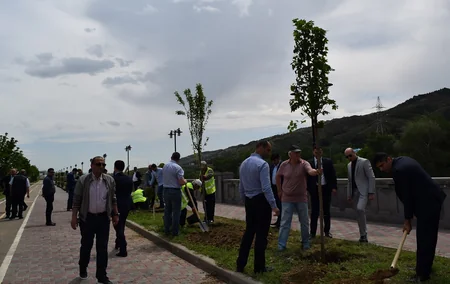 “AS Qrup İnvestment”in Tiflisdə inşa etdiyi kompleksin ərazisində Heydər Əliyevin xatirəsinə 95 ağac əkilib