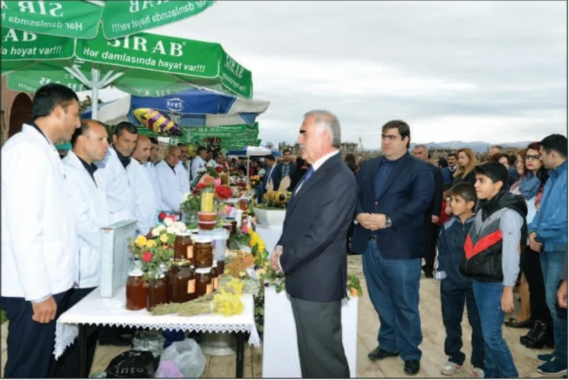 Naxçıvanda “Arıçılıq məhsulları  bal festivalı” keçirilib