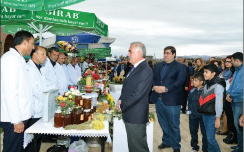 Naxçıvanda “Arıçılıq məhsulları  bal festivalı” keçirilib