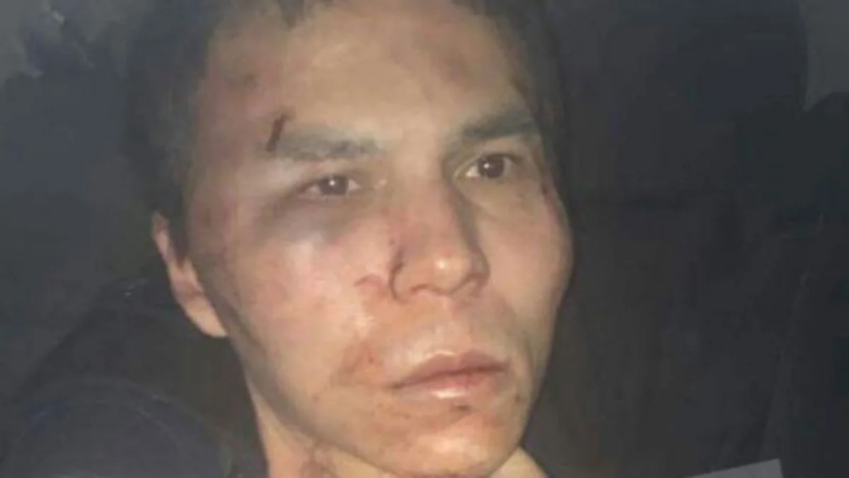 Istanbul Governor: Reina nightclub attack suspect admits he guilty