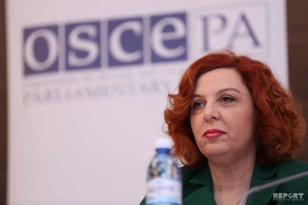 OSCE hails Azerbaijan's efforts to hold transparent elections