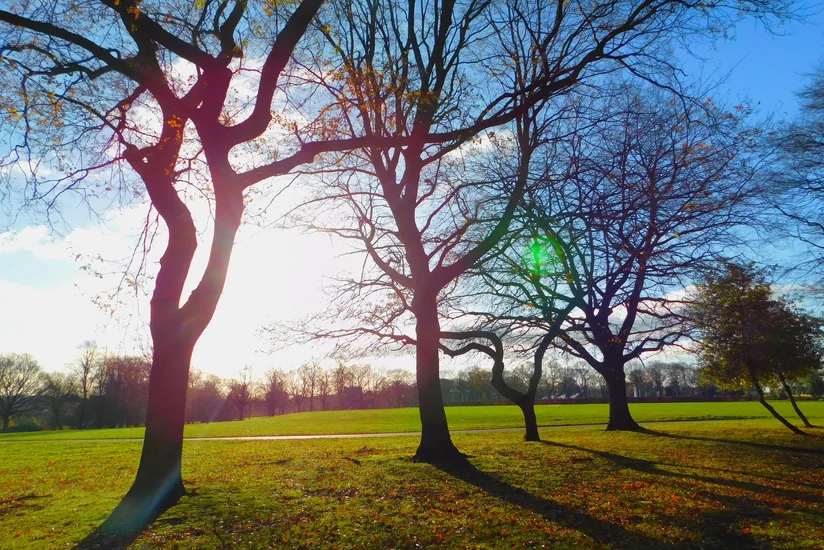 Winter in Azerbaijan: Temperatures to remain close to multi-year norms