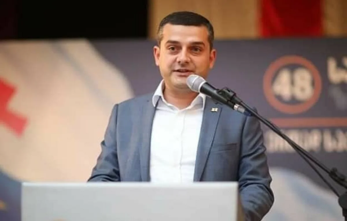 Gürcüstan parlamentinin üzvü: Azərbaycandakı seçkilər regionda demokratiyanın inkişafına bir təkandır