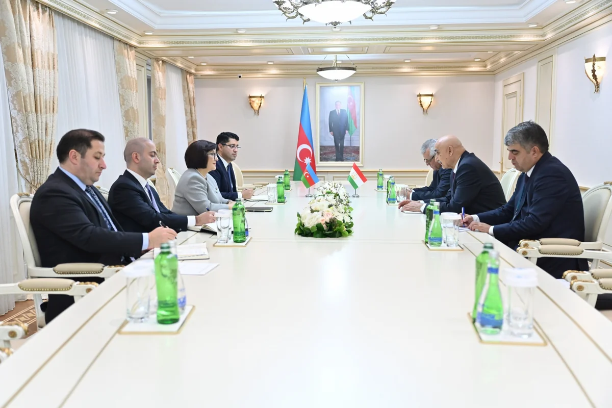 Azərbaycan və Tacikistanın iqlim dəyişikliyi ilə mübarizədə həyata keçirdiyi tədbirlər müzakirə olunub