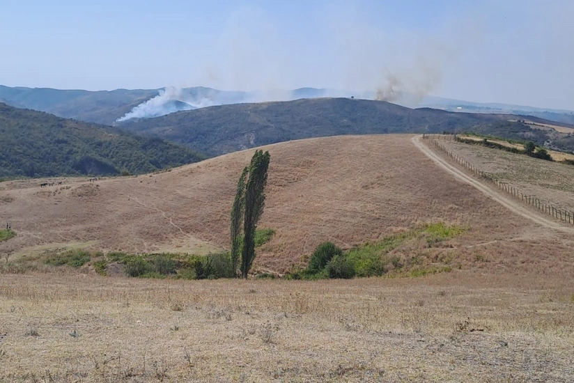 Wildfire breaks out in Azerbaijan’s Ismayilli district