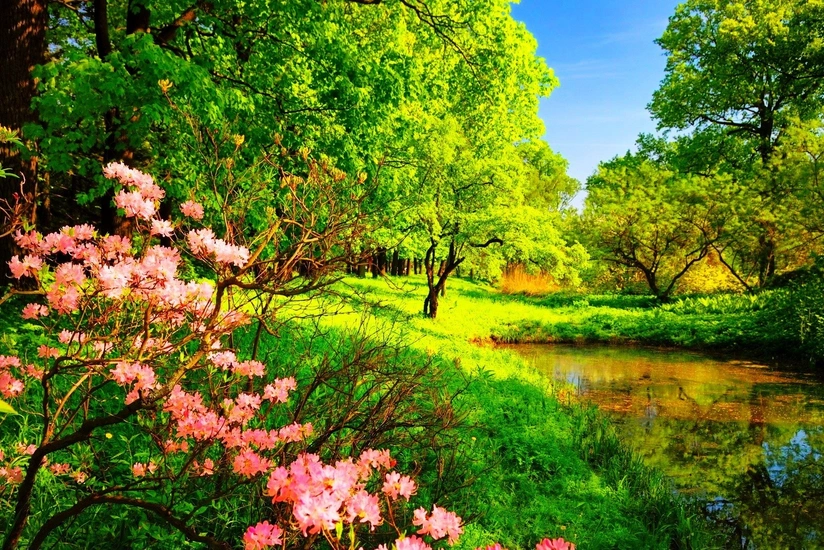 Weather forecast for tomorrow in Azerbaijan announced